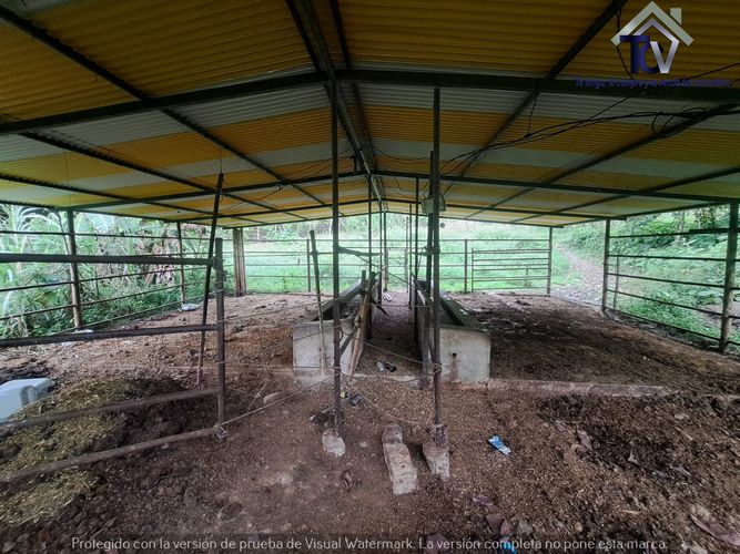 Finca en venta en Rionegro, 100000 m² · foto 4 de 22