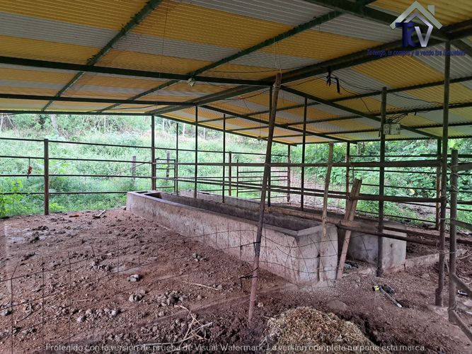 Finca en venta en Rionegro, 100000 m² · foto 5 de 22