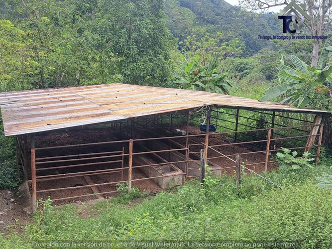 Finca en venta en Rionegro, 100000 m² · foto 6 de 22