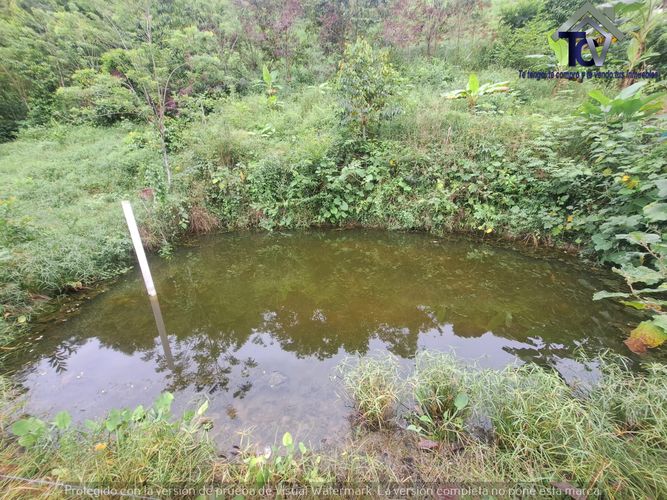 Finca en venta en Rionegro, 100000 m² · foto 7 de 22