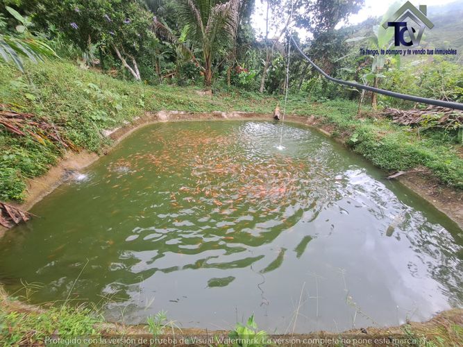 Finca en venta en Rionegro, 100000 m² · foto 9 de 22