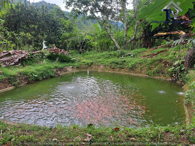 Finca en venta en Rionegro, 100000 m² · foto 10 de 22