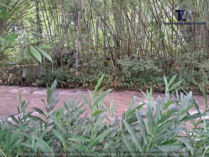 Finca en venta en Rionegro, 100000 m² · foto 11 de 22
