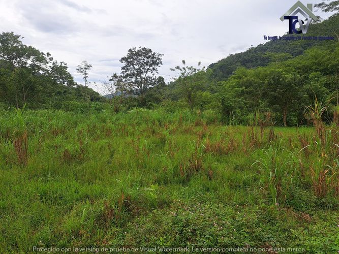 Finca en venta en Rionegro, 100000 m² · foto 14 de 22