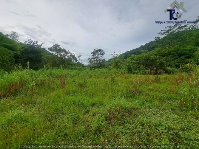 Finca en venta en Rionegro, 100000 m² · foto 15 de 22