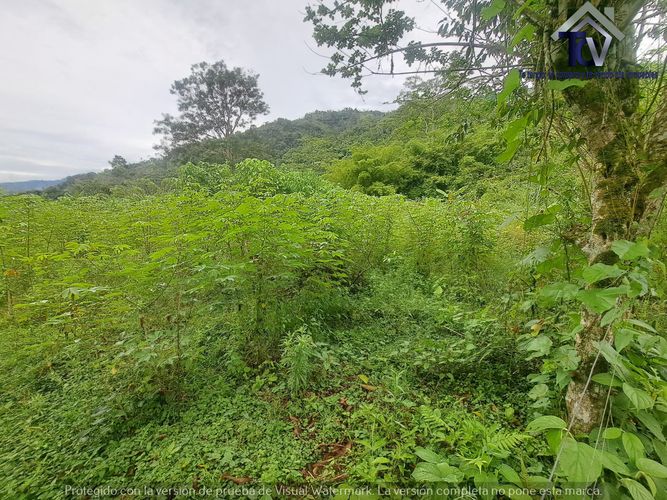 Finca en venta en Rionegro, 100000 m² · foto 16 de 22