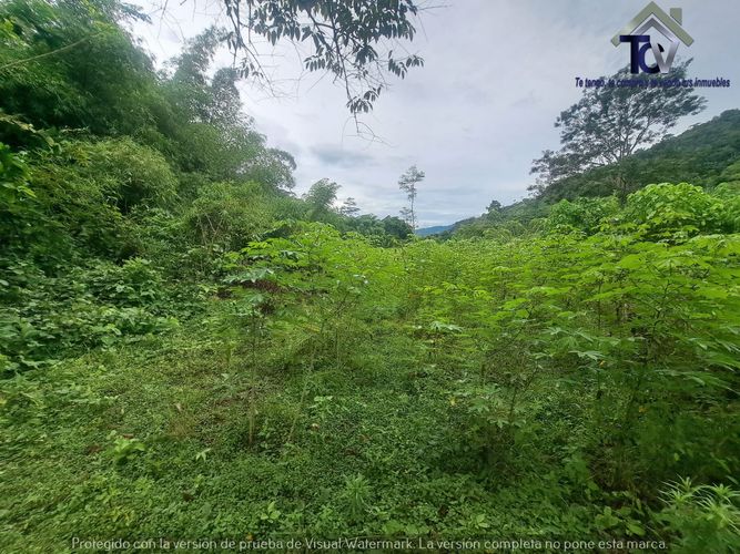 Finca en venta en Rionegro, 100000 m² · foto 17 de 22