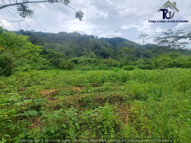 Finca en venta en Rionegro, 100000 m² · foto 19 de 22