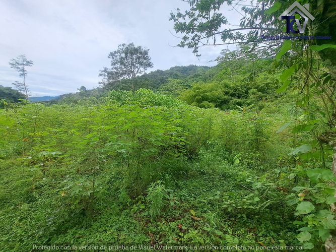 Finca en venta en Rionegro, 100000 m² · foto 20 de 22