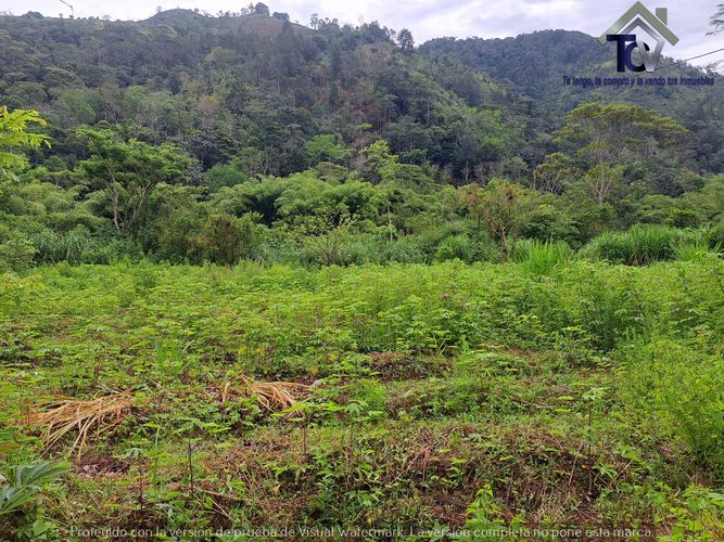Finca en venta en Rionegro, 100000 m² · foto 21 de 22