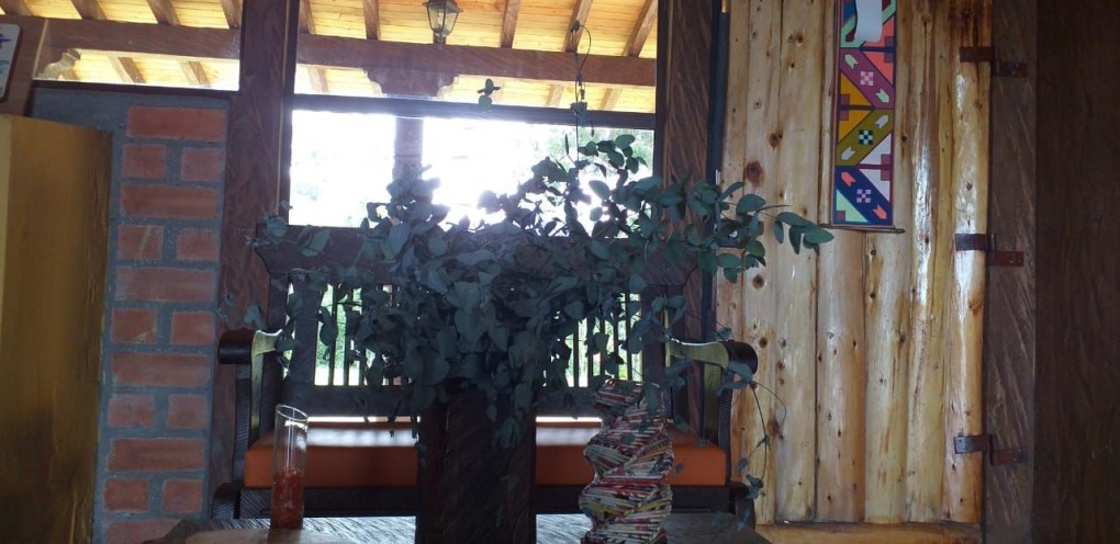 1BR Country House in Aeropuerto for Sale - 3