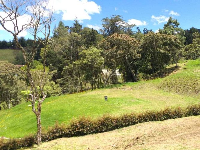 Lote en venta en Vía Las Palmas, Envigado, 4051 m² · foto 4 de 8