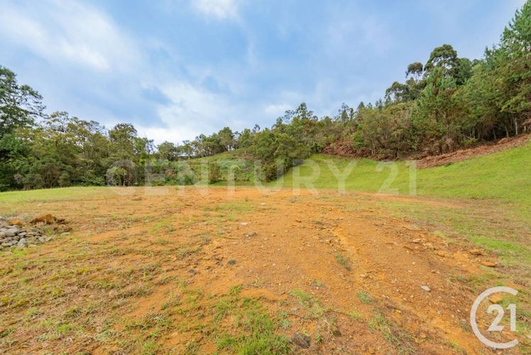 Lote en venta en Vía Las Palmas, Envigado, 5729 m² · foto 3 de 10