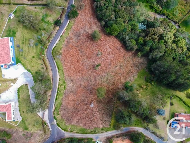 Lote en venta en Carrizales, Envigado, 7786 m² · foto 3 de 9