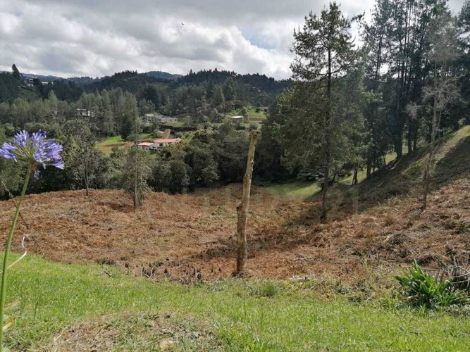 Lote en venta en Carrizales, Envigado, 7786 m² · foto 6 de 9