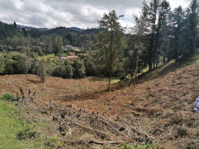 Lote en venta en Carrizales, Envigado, 7786 m² · foto 9 de 9