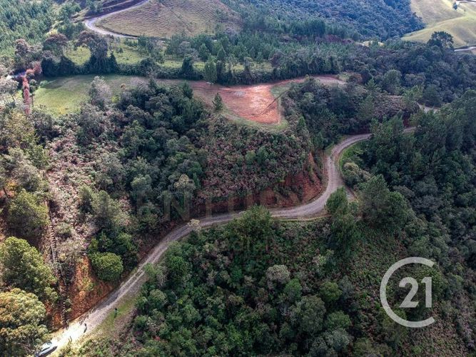 Lote en venta en Vía Las Palmas, Envigado, 5016 m² · foto 2 de 7