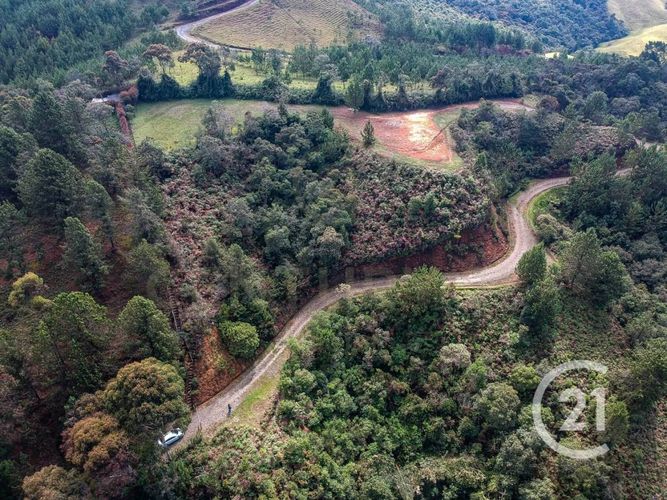 Lote en venta en Vía Las Palmas, Envigado, 5016 m² · foto 3 de 7