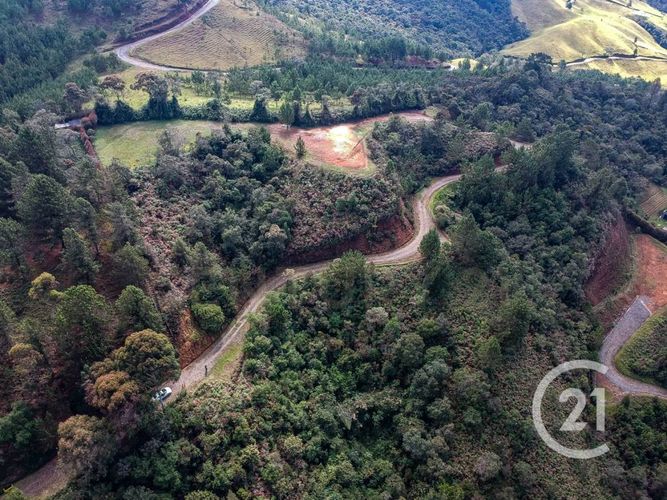 Lote en venta en Vía Las Palmas, Envigado, 5016 m² · foto 4 de 7