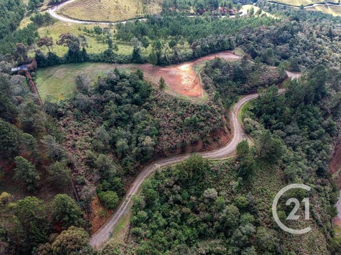 Lote en venta en Vía Las Palmas, Envigado, 5016 m² · foto 5 de 7
