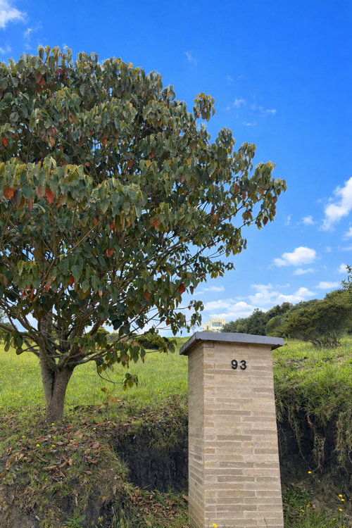 Lote en venta en Mercenario, Sopó, 1822 m² · foto 5 de 8