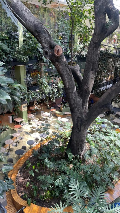 Local en venta en La Aguacatala, Medellín, 62 m² · foto 7 de 11