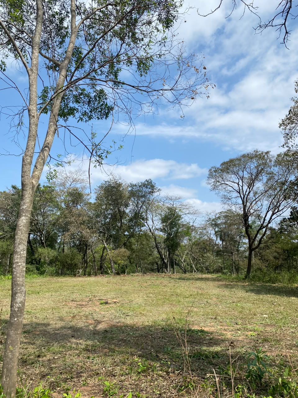 Terreno en San Bernardino con ubicación inmejorable! — foto 2