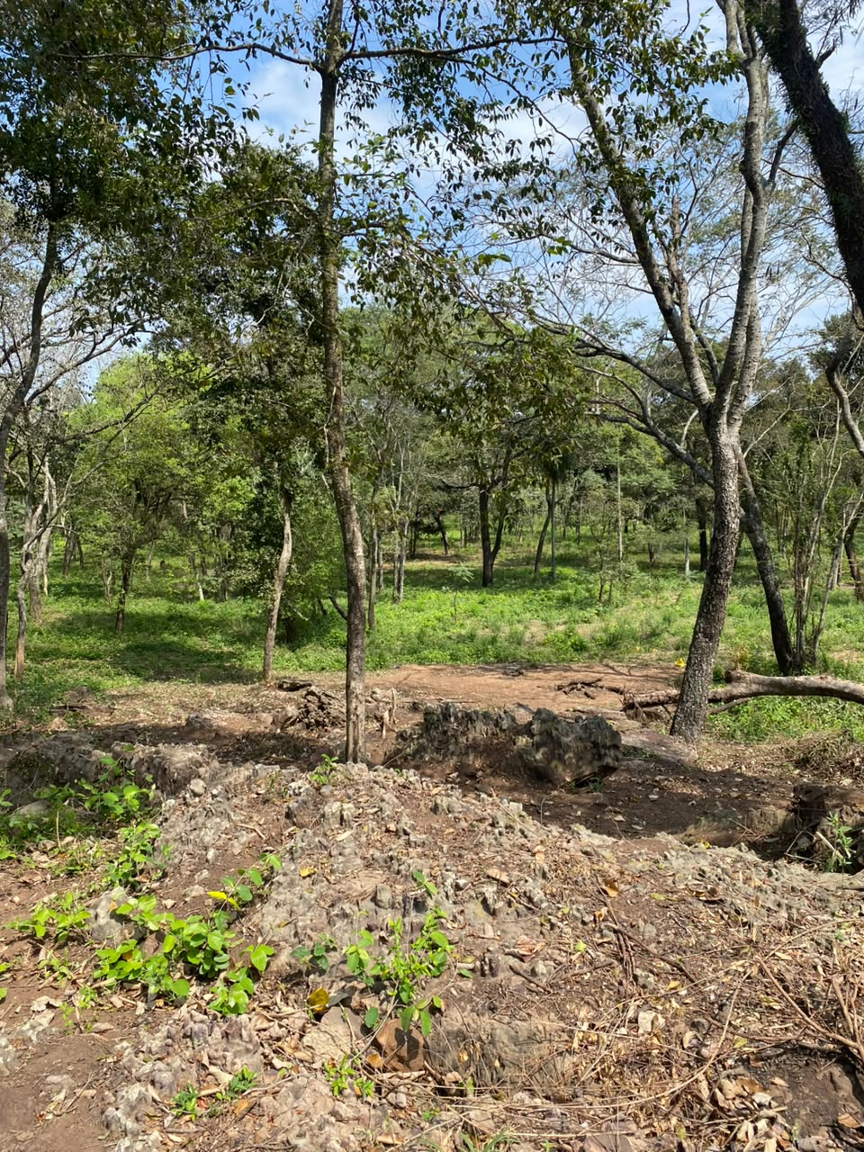 Terreno en San Bernardino con ubicación inmejorable! — foto 3