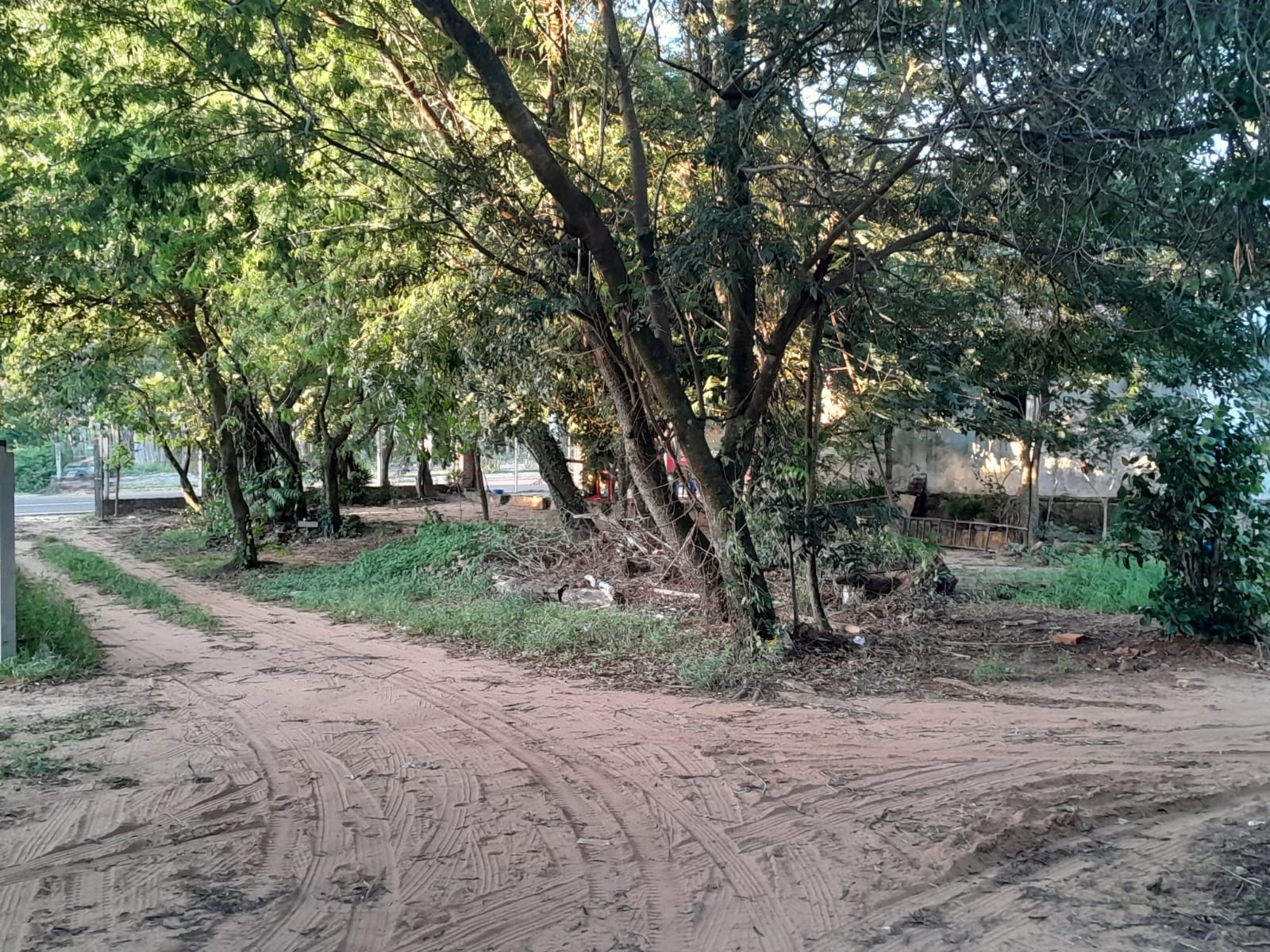 OPORTUNIDAD ÚNICA: AMPLIO TERRENO EN SAN BERNARDINO — foto 2