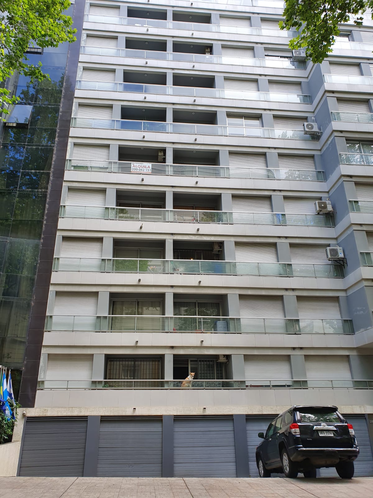 Apartamento un dormitorio, equipado