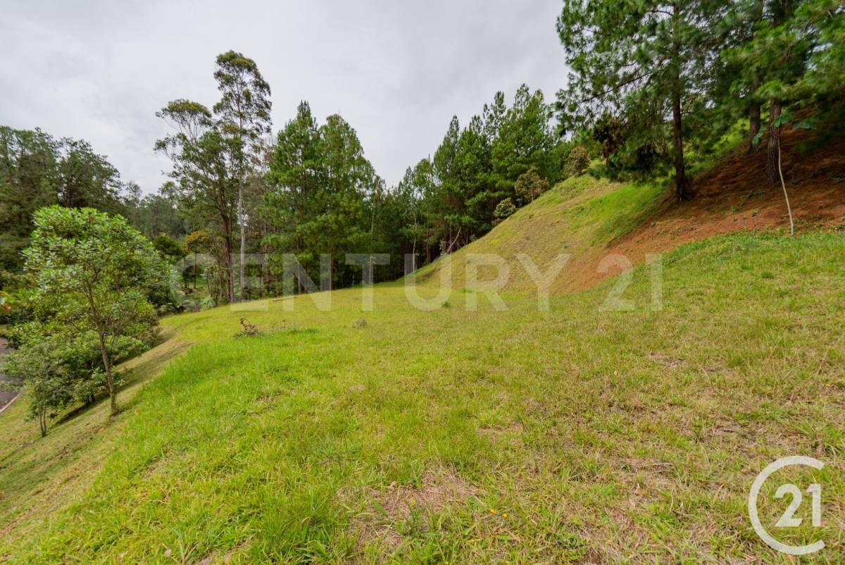 Land in El portento for Sale - 2