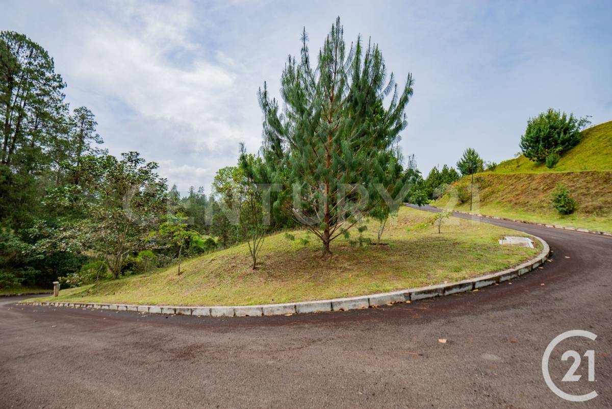 Land in El portento for Sale - 3