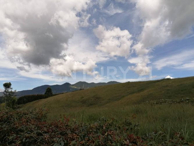 Lote en venta en El Capiro, La Ceja, 35700 m² · foto 4 de 9