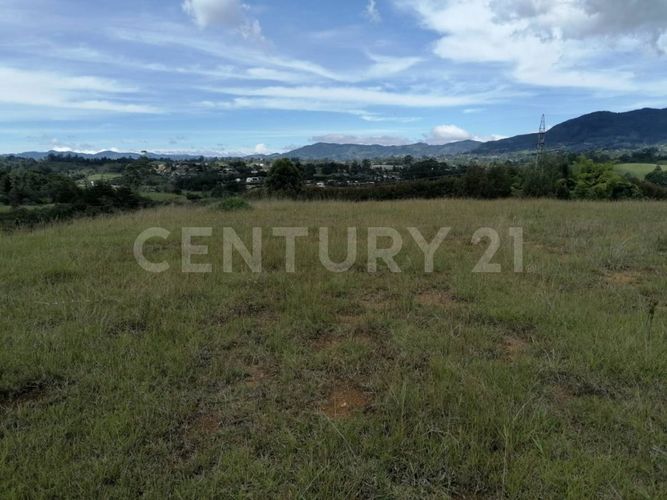 Lote en venta en El Capiro, La Ceja, 35700 m² · foto 5 de 9