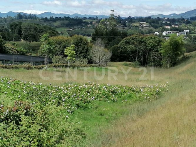 Lote en venta en El Capiro, La Ceja, 35700 m² · foto 8 de 9