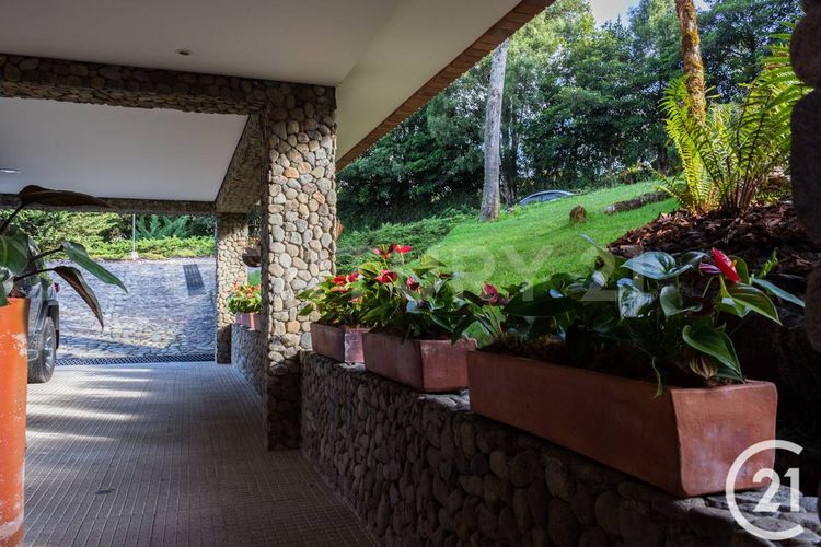 Casa de 3 alcobas en venta en Las Palmas, Envigado, 493 m² · foto 5 de 19
