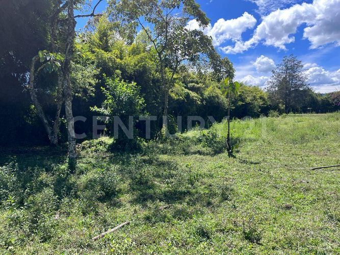 Lote en venta en Llano Grande, Rionegro, 7760 m² · foto 3 de 5