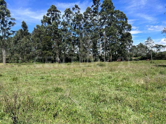 Lote en venta en Llano Grande, Rionegro, 7760 m² · foto 4 de 5