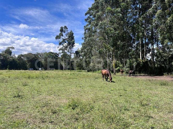 Lote en venta en Llano Grande, Rionegro, 7760 m² · foto 5 de 5