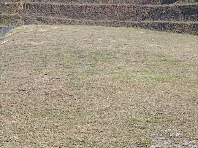 Lote en venta en Mampuesto, Rionegro, 2663 m² · foto 7 de 8