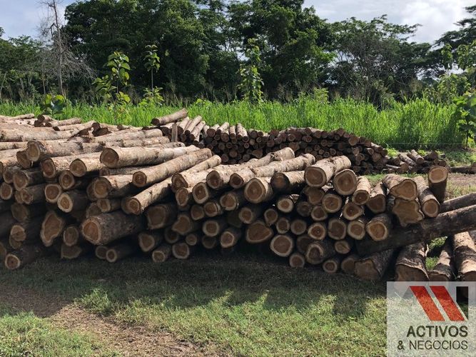 Finca en venta en El Eden I, Montería · foto 3 de 8