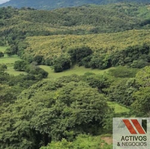 Finca en venta en El Eden I, Montería · foto 4 de 8
