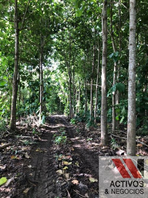 Finca en venta en El Eden I, Montería · foto 5 de 8
