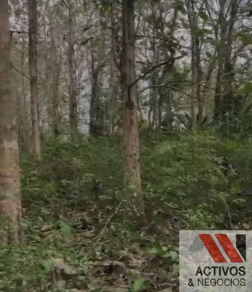 Finca en venta en El Eden I, Montería · foto 7 de 8