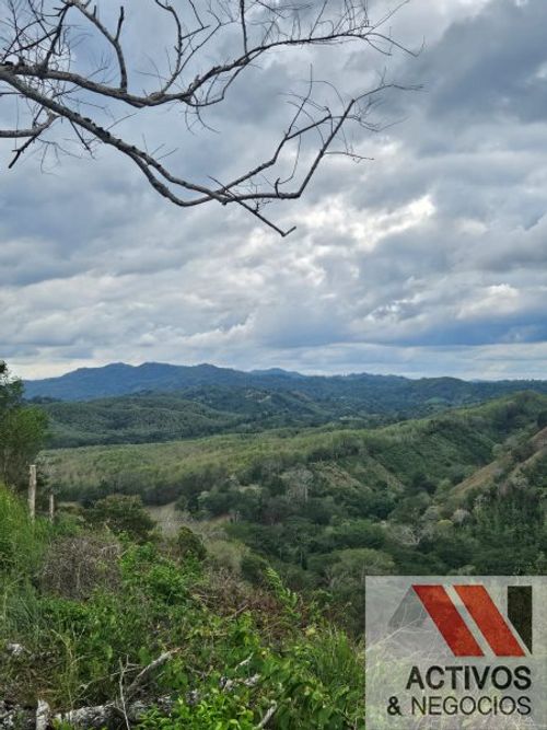 Finca en venta en El Eden I, Montería · foto 8 de 8