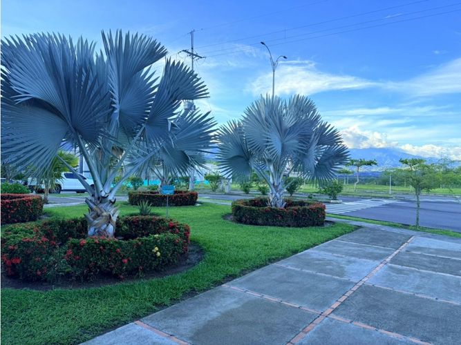 Lote en venta en La Primavera, Pereira, 280 m² · foto 14 de 21