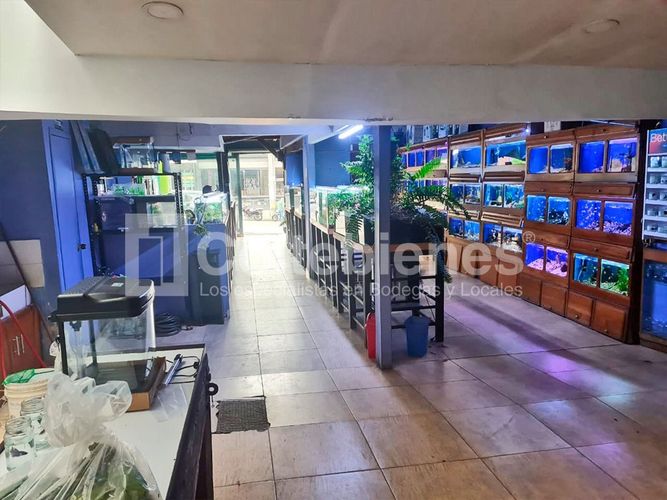 Local en venta en Astorga, Medellín, 500 m² · foto 3 de 13