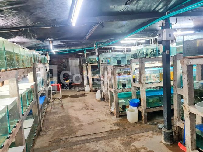 Local en venta en Astorga, Medellín, 500 m² · foto 4 de 13