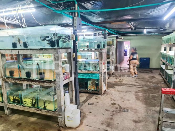 Local en venta en Astorga, Medellín, 500 m² · foto 5 de 13