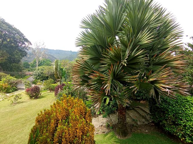 Casa de 4 alcobas en venta en Ruitoque Alto, Floridablanca, 530 m² · foto 7 de 24